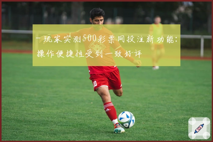 - 玩家实测500彩票网投注新功能：操作便捷性受到一致好评